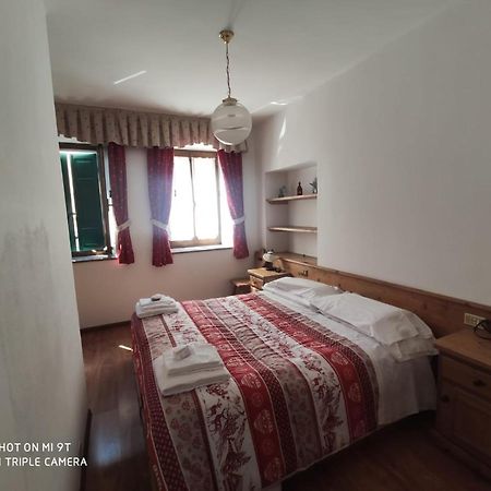 La Favorita Bed & Breakfast Lozzo Cadore Eksteriør bilde