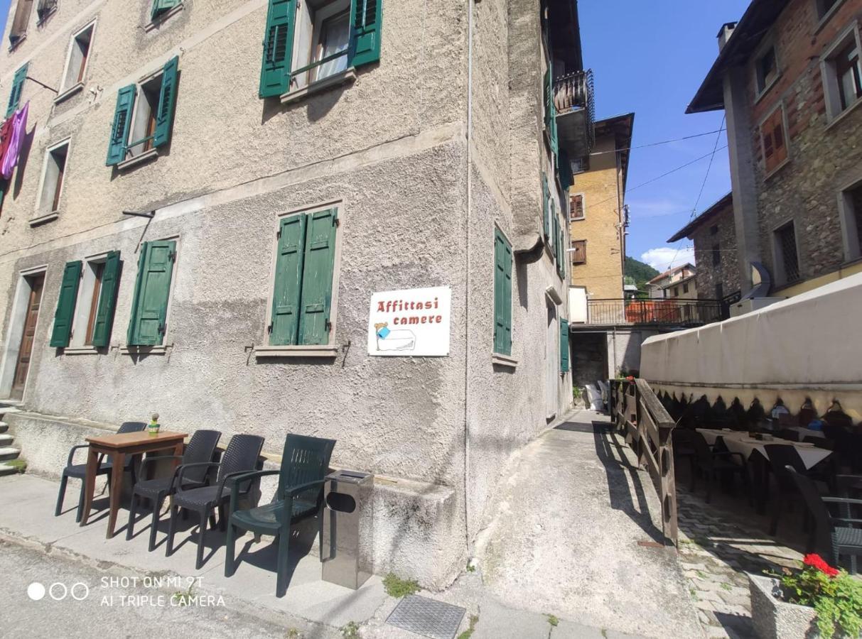 La Favorita Bed & Breakfast Lozzo Cadore Eksteriør bilde