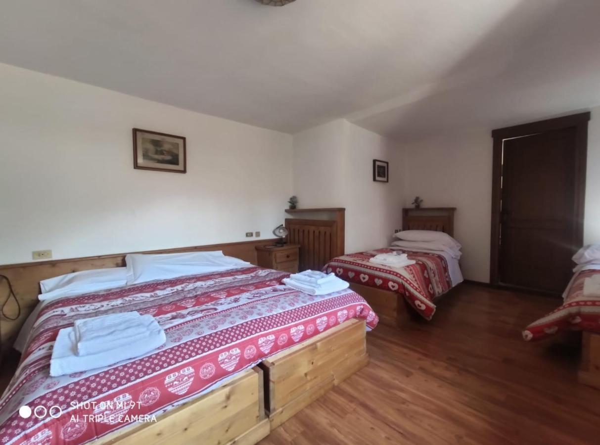 La Favorita Bed & Breakfast Lozzo Cadore Eksteriør bilde