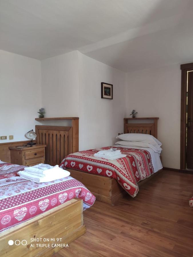 La Favorita Bed & Breakfast Lozzo Cadore Eksteriør bilde